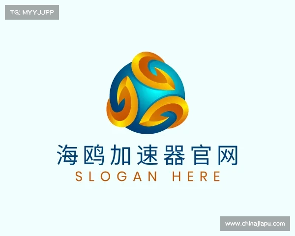 解读海鸥加速器官网